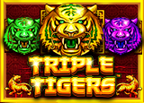 Triple Tigers - pragmaticSLots - Rtp Lektoto
